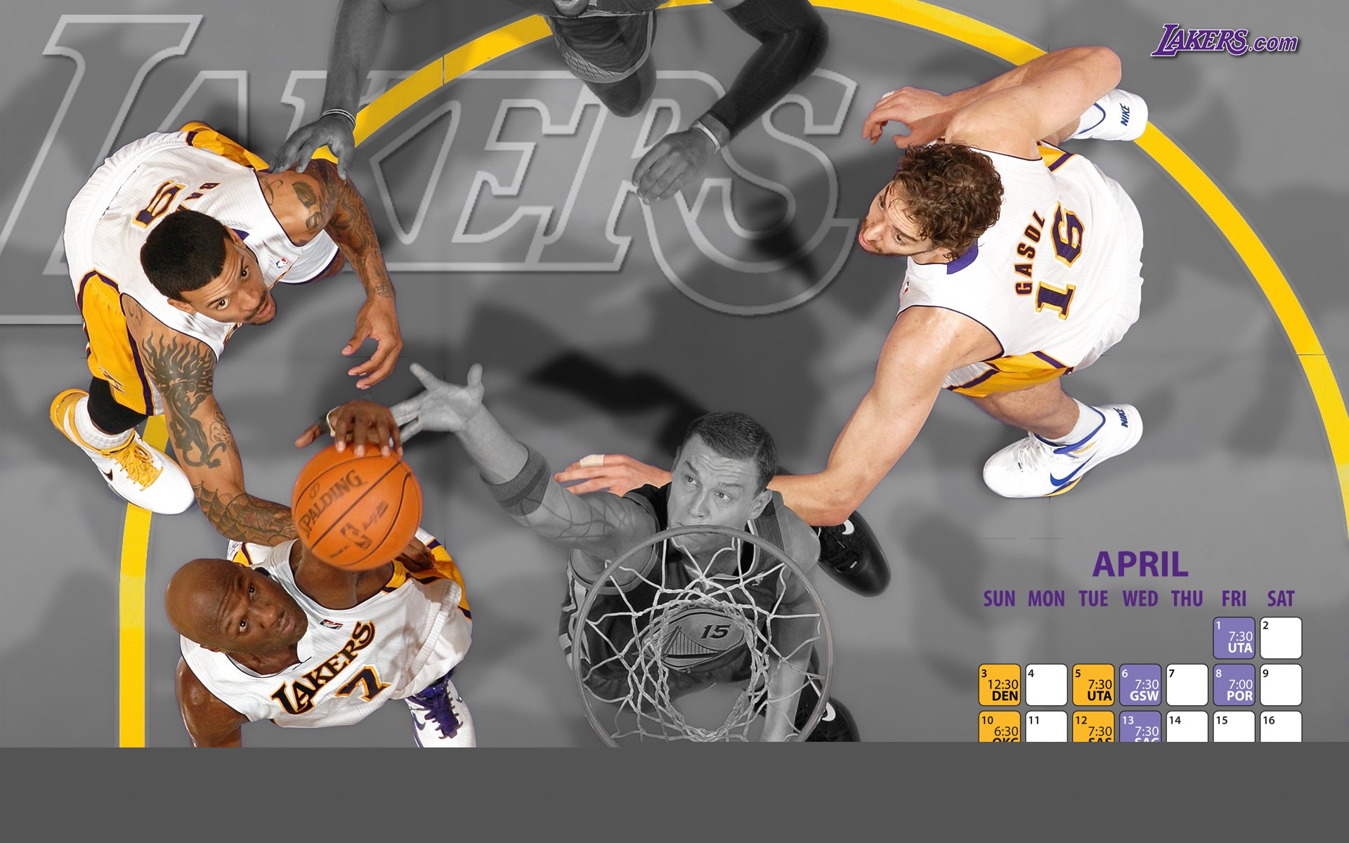 广泛的应用领域